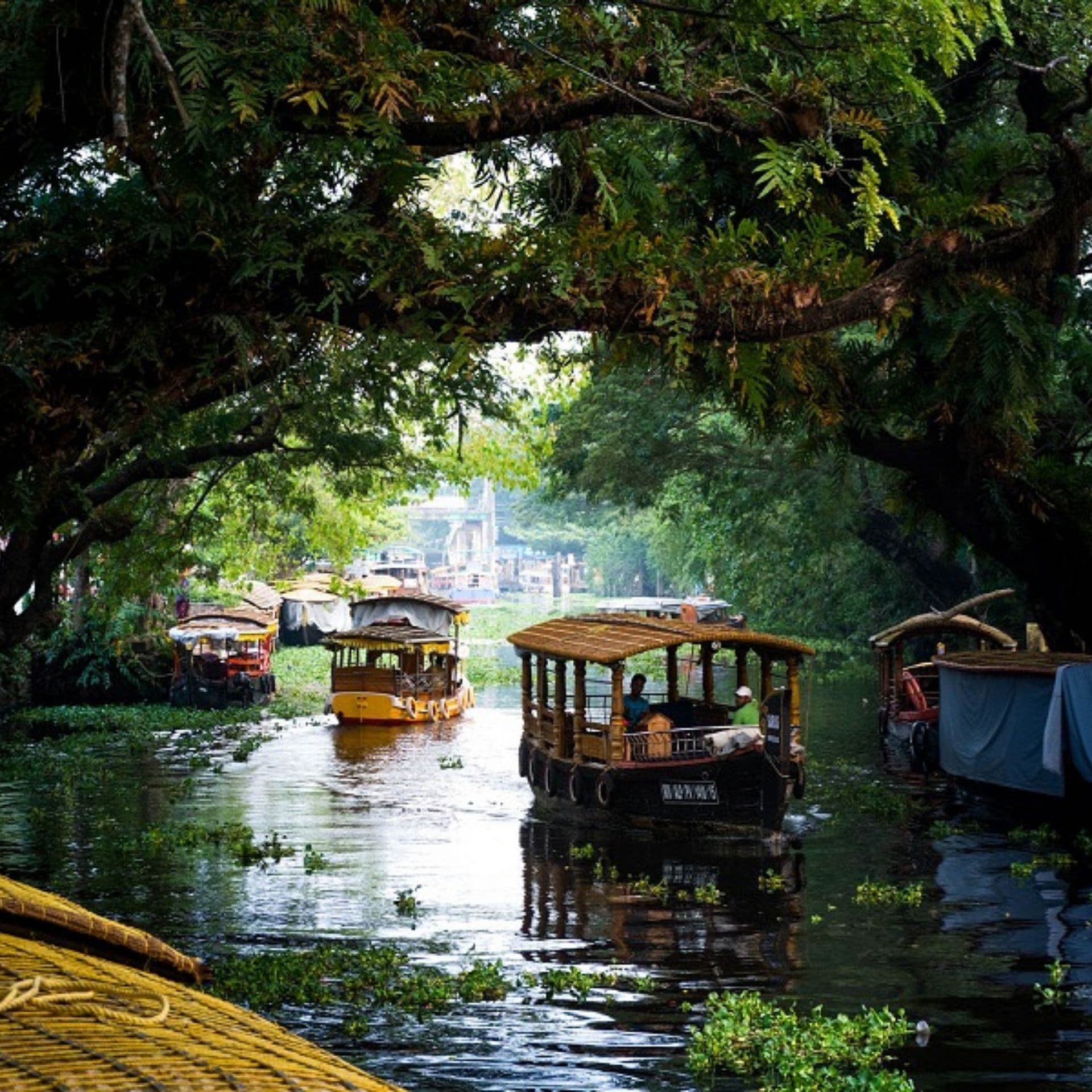 Kerala Trip, houseboat, Munnar, Alleppey Houseboat